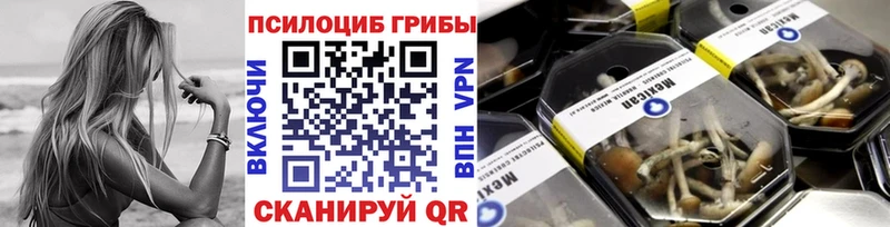 купить закладку  МЕГА зеркало  Псилоцибиновые грибы Magic Shrooms  Петровск 
