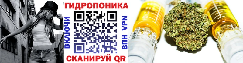 где найти наркотики  Петровск  Каннабис конопля 